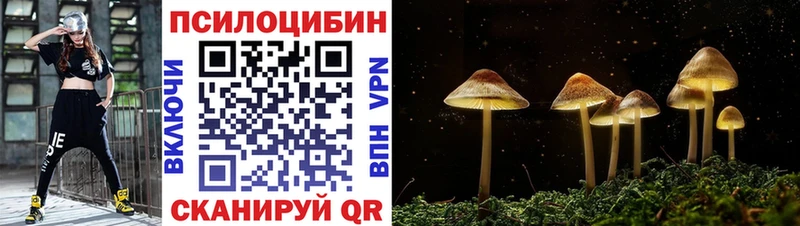 Псилоцибиновые грибы мухоморы  hydra вход  Рошаль 